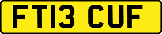 FT13CUF