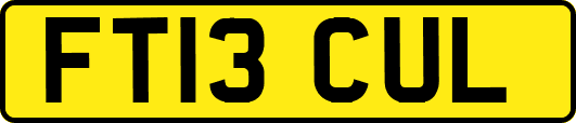 FT13CUL