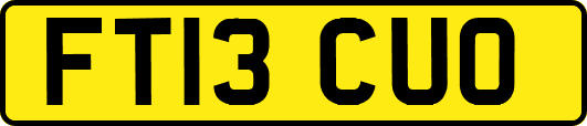 FT13CUO