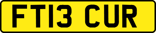 FT13CUR