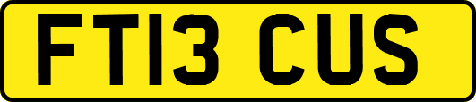 FT13CUS
