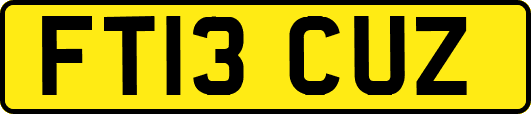 FT13CUZ