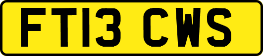 FT13CWS