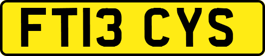 FT13CYS