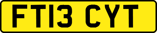 FT13CYT