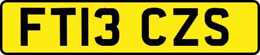 FT13CZS