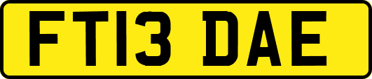 FT13DAE