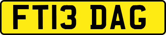 FT13DAG