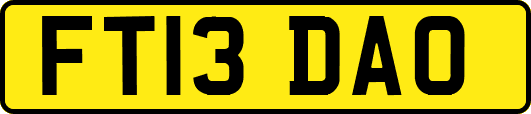 FT13DAO