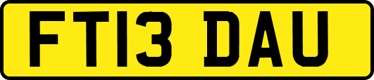 FT13DAU