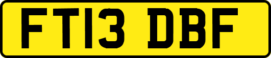FT13DBF