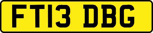 FT13DBG
