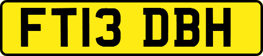 FT13DBH