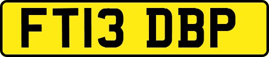 FT13DBP
