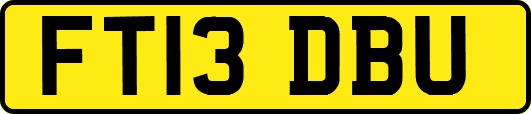 FT13DBU