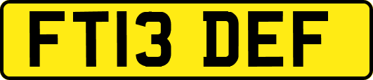 FT13DEF
