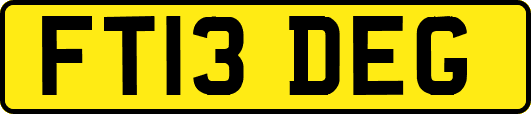 FT13DEG