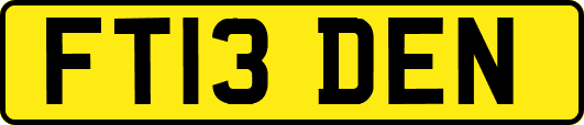 FT13DEN