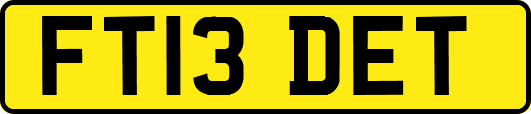 FT13DET