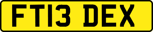 FT13DEX