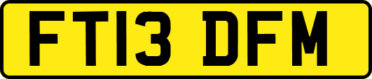 FT13DFM