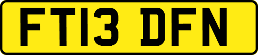 FT13DFN