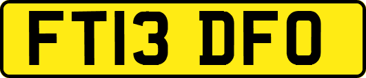 FT13DFO
