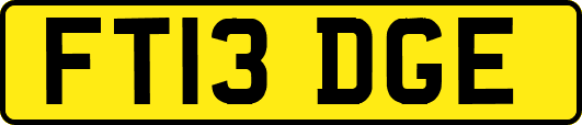 FT13DGE