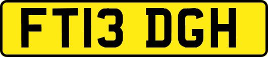FT13DGH