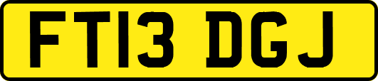 FT13DGJ