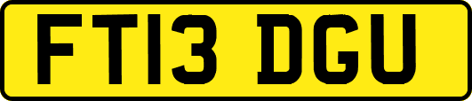 FT13DGU