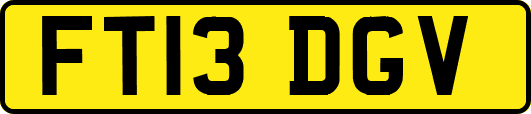FT13DGV
