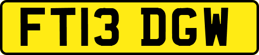 FT13DGW