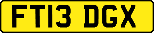 FT13DGX