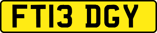 FT13DGY