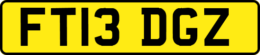 FT13DGZ