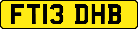 FT13DHB