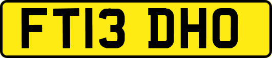 FT13DHO