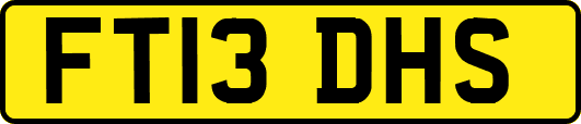 FT13DHS