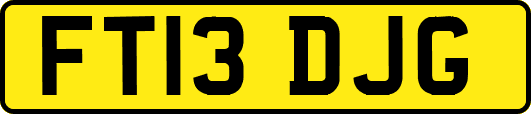 FT13DJG