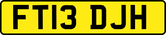 FT13DJH