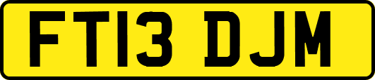 FT13DJM