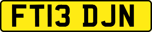 FT13DJN
