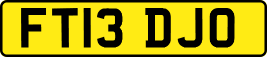 FT13DJO