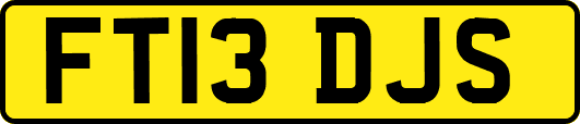 FT13DJS