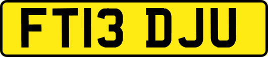 FT13DJU