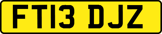 FT13DJZ