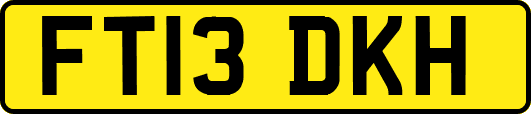 FT13DKH