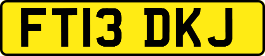 FT13DKJ