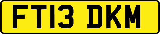 FT13DKM